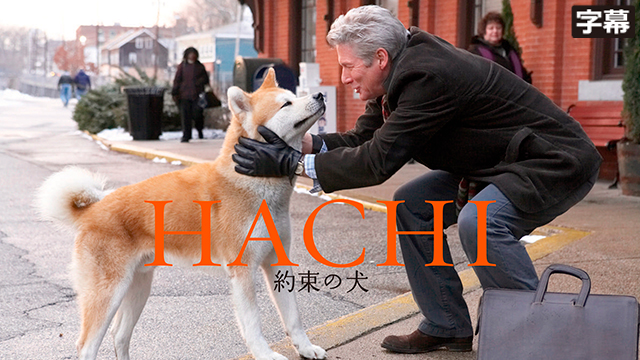 HACHI 約束の犬