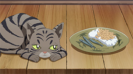 第7話 化け猫の来訪