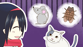 第4話 ねこの観察眼