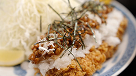 #9 【茨城で発見！超希少車・絶滅寸前の珍車編】