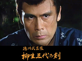 徳川武芸帳　柳生三代の剣