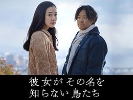 彼女がその名を知らない鳥たち