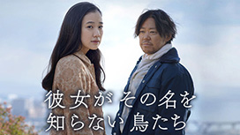 彼女がその名を知らない鳥たち