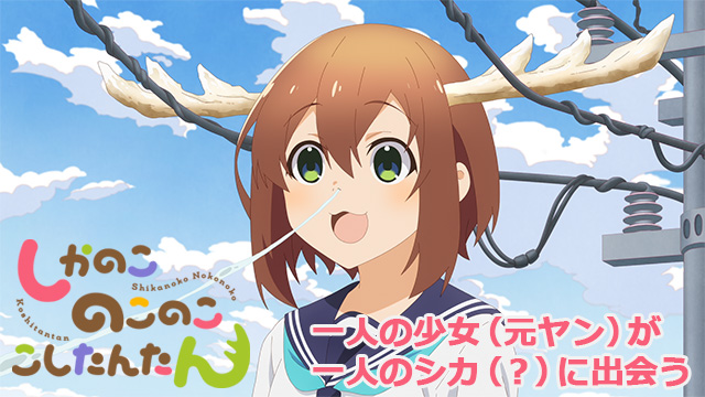 【全12話配信中】<br>しかのこのこのここしたんたん
