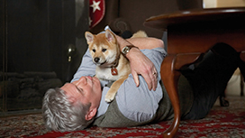 【6/5 NEW】<br>HACHI 約束の犬