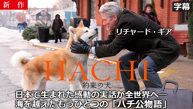 【6/5 NEW】<br>HACHI 約束の犬