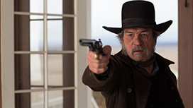 ミッション・ワイルド（字幕・吹替）