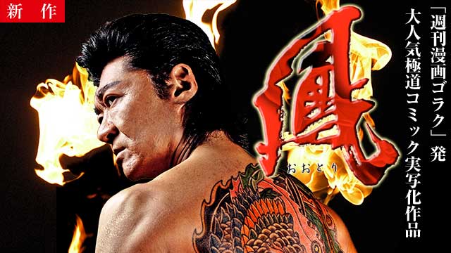 【12/4 NEW】<br>鳳