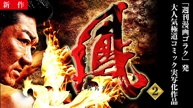 【12/11 NEW】<br>鳳2