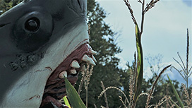 シャーコーン！／呪いのモロコシ鮫（字幕）