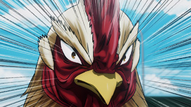 【4/16 NEW】（1羽）<br>ニワトリ・ファイター