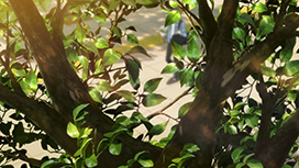 【10/1 最終話UP】（第12話）<br>透明な夜に駆ける君と、目に見えない恋をした。