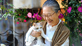 先生と迷い猫