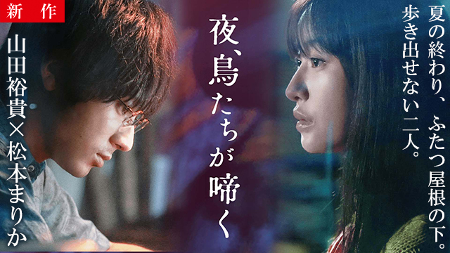 【8/27 NEW】<br>夜、鳥たちが啼く